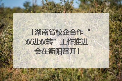 湖南省校企合作“双进双转”工作推进会在衡阳召开