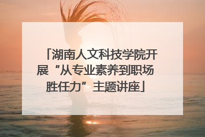 湖南人文科技学院开展“从专业素养到职场胜任力”主题讲座