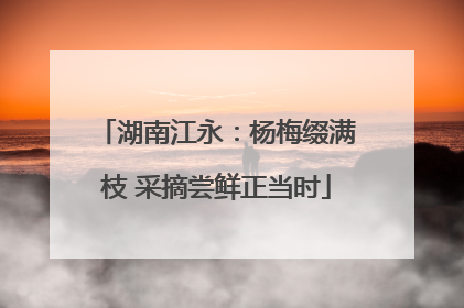 湖南江永：杨梅缀满枝 采摘尝鲜正当时