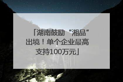 湖南鼓励“湘品”出境！单个企业最高支持100万元