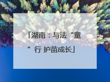 湖南：与法“童”行 护苗成长