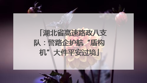 湖北省高速路政八支队：警路企护航“盾构机”大件平安过境