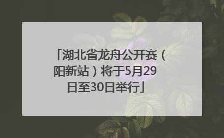 湖北省龙舟公开赛（阳新站）将于5月29日至30日举行