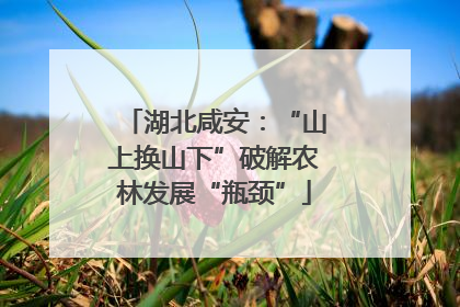 湖北咸安：“山上换山下”破解农林发展“瓶颈”