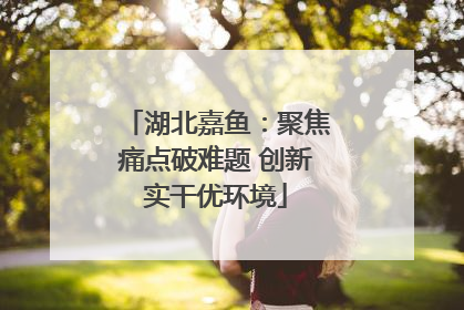 湖北嘉鱼：聚焦痛点破难题 创新实干优环境