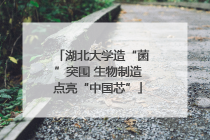 湖北大学造“菌”突围 生物制造点亮“中国芯”