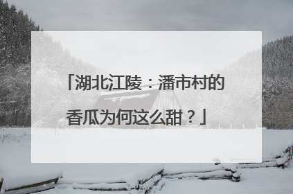 湖北江陵：潘市村的香瓜为何这么甜？