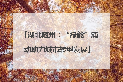 湖北随州：“绿能”涌动助力城市转型发展