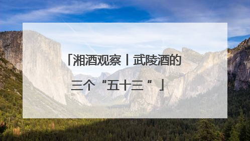 湘酒观察丨武陵酒的三个“五十三 ”