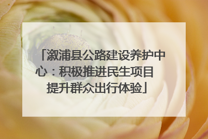 溆浦县公路建设养护中心：积极推进民生项目 提升群众出行体验