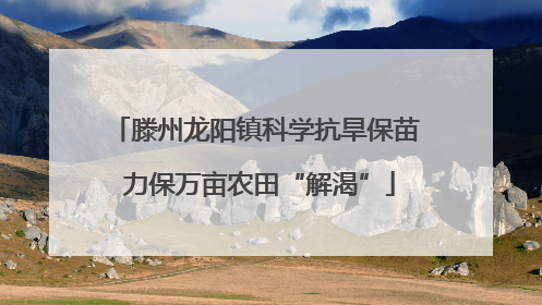 滕州龙阳镇科学抗旱保苗 力保万亩农田“解渴”