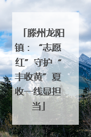 滕州龙阳镇：“志愿红”守护“丰收黄”夏收一线显担当