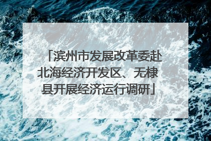 滨州市发展改革委赴北海经济开发区、无棣县开展经济运行调研
