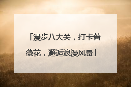 漫步八大关，打卡蔷薇花，邂逅浪漫风景