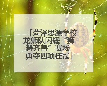 菏泽思源学校龙狮队闪耀“狮舞齐鲁”赛场 勇夺四项桂冠