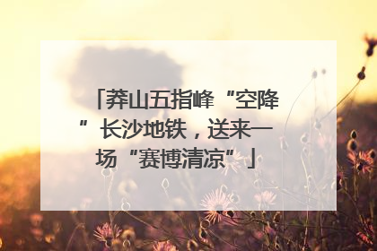 莽山五指峰“空降”长沙地铁，送来一场“赛博清凉”