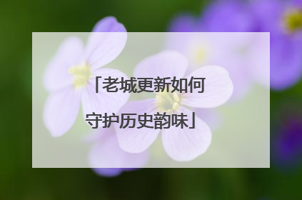老城更新如何守护历史韵味
