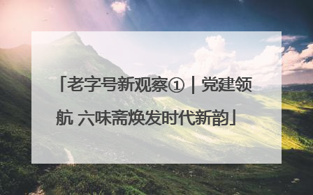 老字号新观察①｜党建领航 六味斋焕发时代新韵