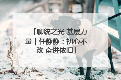 聊统之光 基层力量｜任静静：初心不改 奋进依旧