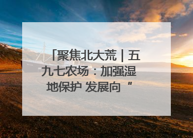聚焦北大荒｜五九七农场：加强湿地保护 发展向“绿”而行