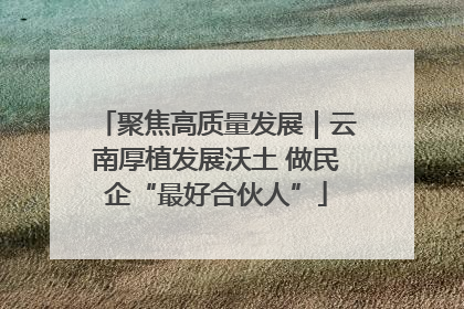 聚焦高质量发展｜云南厚植发展沃土 做民企“最好合伙人”