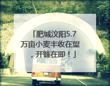 肥城汶阳5.7万亩小麦丰收在望，开镰在即！