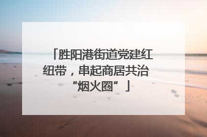 胜阳港街道党建红纽带，串起商居共治 “烟火圈”