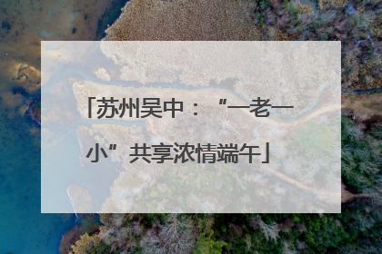 苏州吴中：“一老一小”共享浓情端午