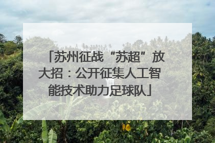 苏州征战“苏超”放大招:公开征集人工智能技术助力足球队