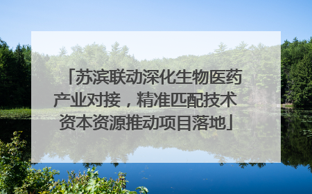苏滨联动深化生物医药产业对接，精准匹配技术资本资源推动项目落地