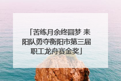 苦练月余终圆梦 耒阳队勇夺衡阳市第三届职工龙舟赛金奖