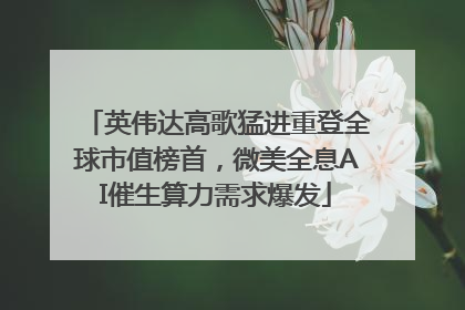 英伟达高歌猛进重登全球市值榜首，微美全息AI催生算力需求爆发