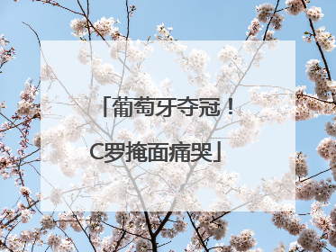葡萄牙夺冠！C罗掩面痛哭