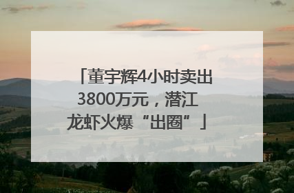 董宇辉4小时卖出3800万元，潜江龙虾火爆“出圈”