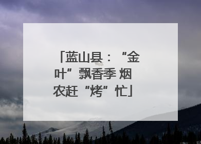 蓝山县：“金叶”飘香季 烟农赶“烤”忙