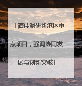 蔺佳调研新港区重点项目，强调协同发展与创新突破