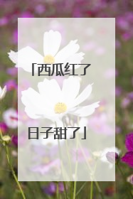 西瓜红了 日子甜了
