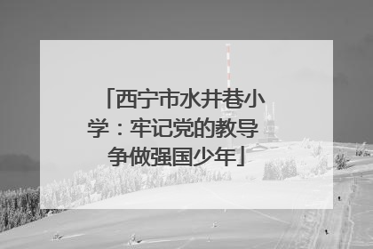 西宁市水井巷小学：牢记党的教导 争做强国少年