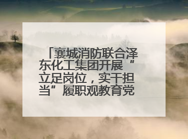 襄城消防联合泽东化工集团开展“立足岗位，实干担当”履职观教育党建联学活动