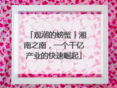 观潮的螃蟹丨湘南之南，一个千亿产业的快速崛起