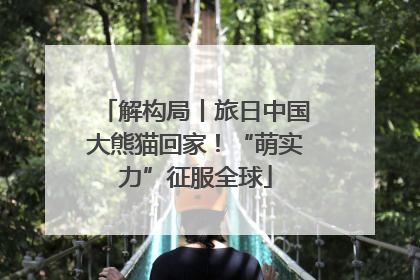 解构局丨旅日中国大熊猫回家！“萌实力”征服全球