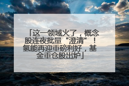 这一领域火了，概念股连夜批量“澄清”！氢能再迎重磅利好，基金重仓股出炉