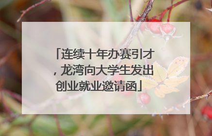 连续十年办赛引才，龙湾向大学生发出创业就业邀请函