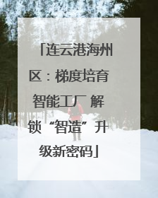 连云港海州区：梯度培育智能工厂 解锁“智造”升级新密码