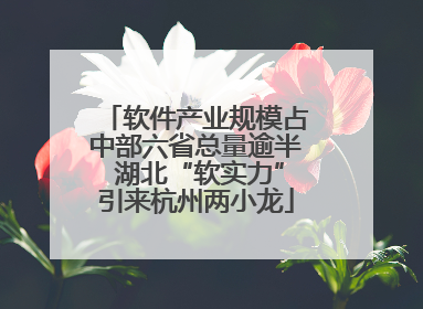 软件产业规模占中部六省总量逾半 湖北“软实力”引来杭州两小龙