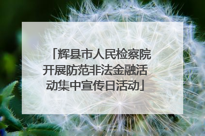 辉县市人民检察院开展防范非法金融活动集中宣传日活动