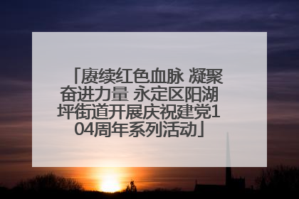 赓续红色血脉 凝聚奋进力量 永定区阳湖坪街道开展庆祝建党104周年系列活动