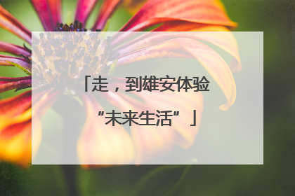 走，到雄安体验“未来生活”