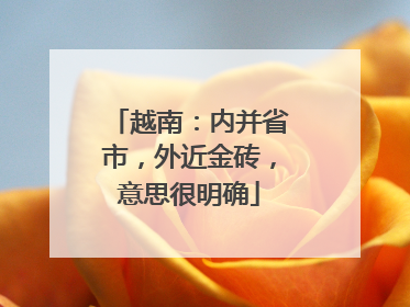 越南：内并省市，外近金砖，意思很明确