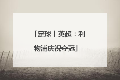 足球丨英超：利物浦庆祝夺冠